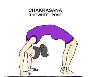 Chakrasana 