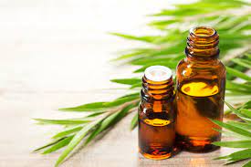 Permanent treatment of acne or pimples is these 5 Ayurvedic medicines, know the main cause of acne