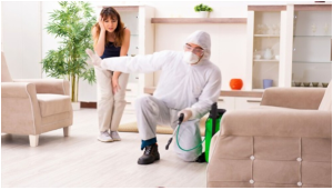 Pest Control Stafford